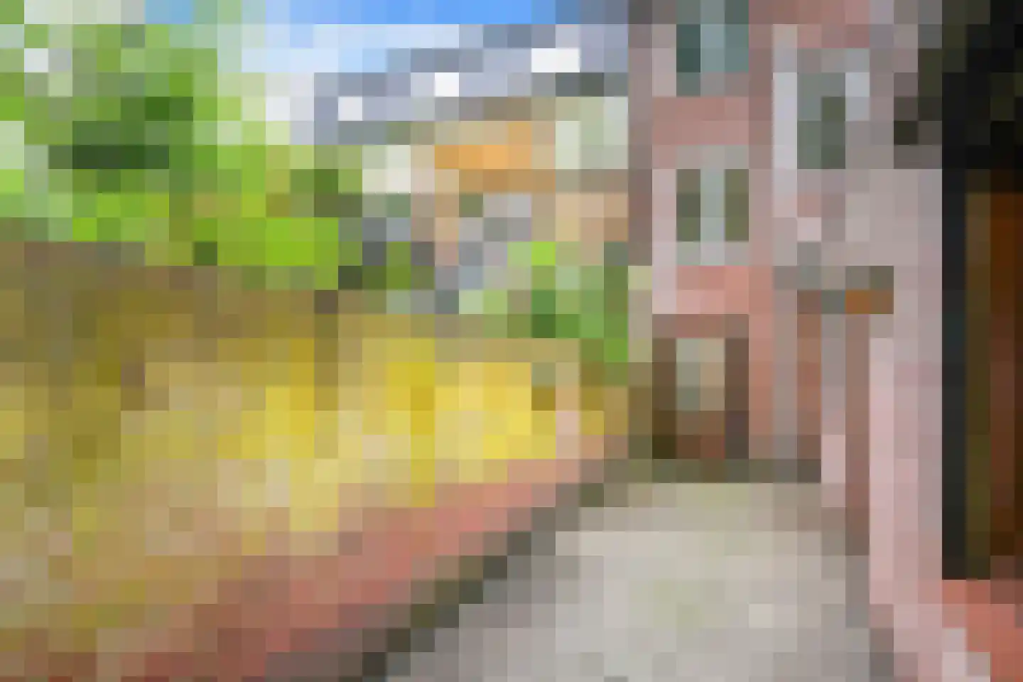 Bosstraat 8 Vaals thumbnail 11