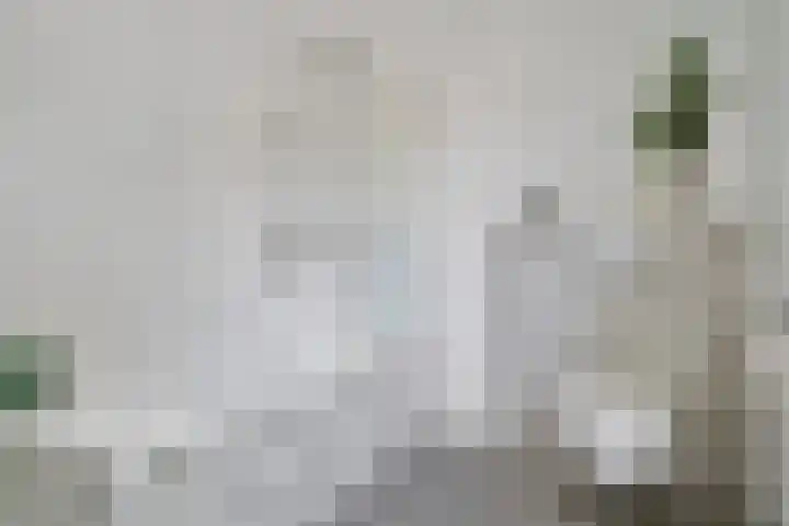 Bosstraat 9 Udenhout thumbnail 25