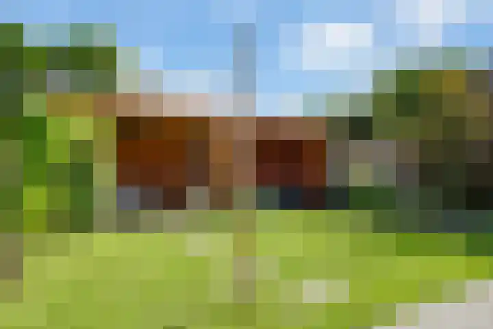 Bosstraat 9 Udenhout thumbnail 34