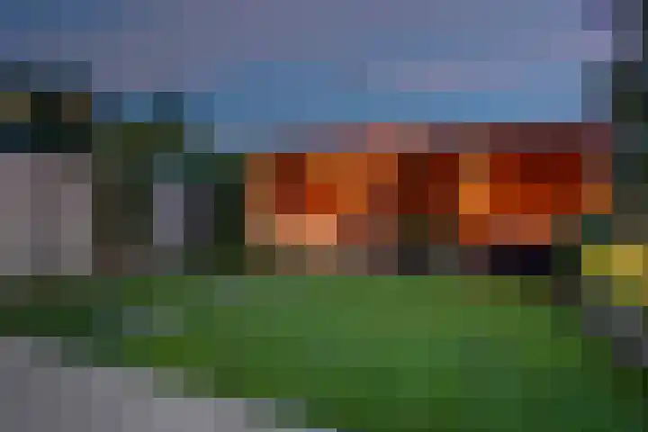 Bosstraat 9 Udenhout thumbnail 37