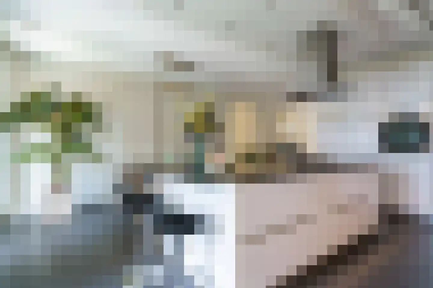Bost 8 Veldhoven thumbnail 15