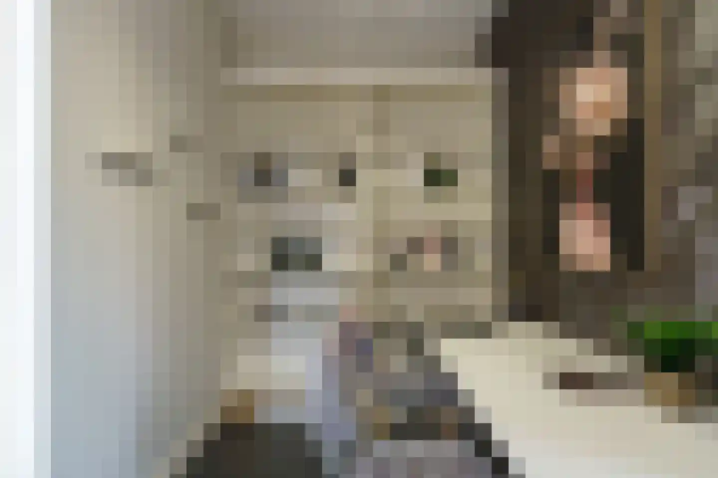 Bost 8 Veldhoven thumbnail 9