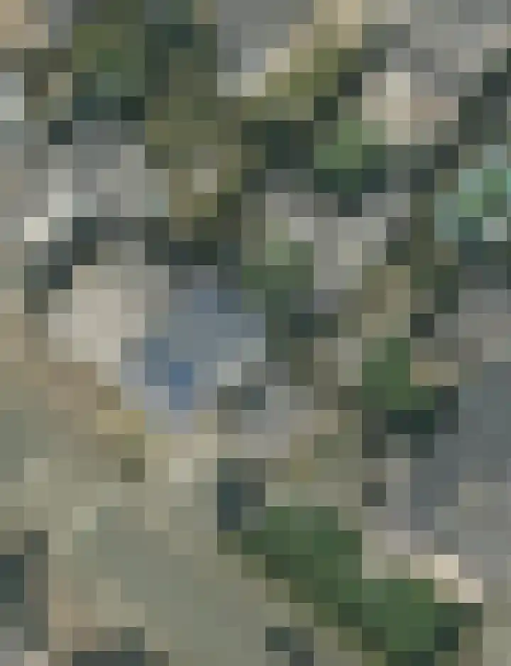 Bostenstraat 2 Voerendaal thumbnail 39