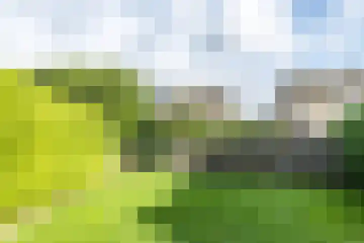 Bostenstraat 24 Voerendaal thumbnail 18