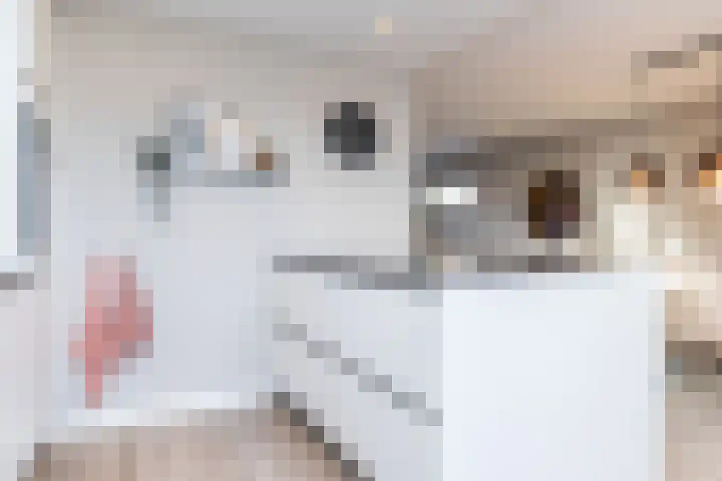Bostenstraat 48 Voerendaal thumbnail 8