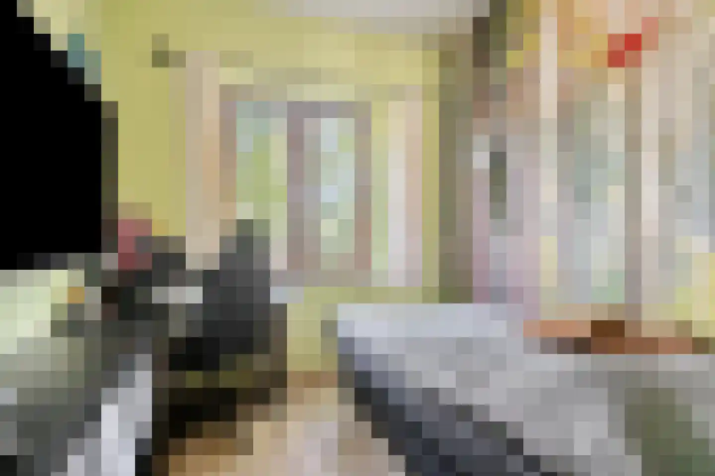 Bostuin 15 Almere thumbnail 16