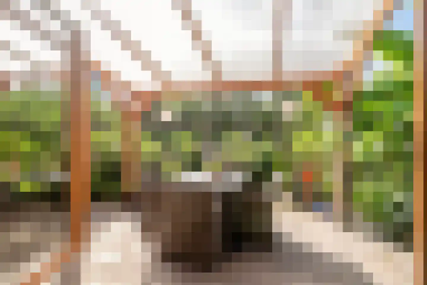 Bostuin 15 Almere thumbnail 20