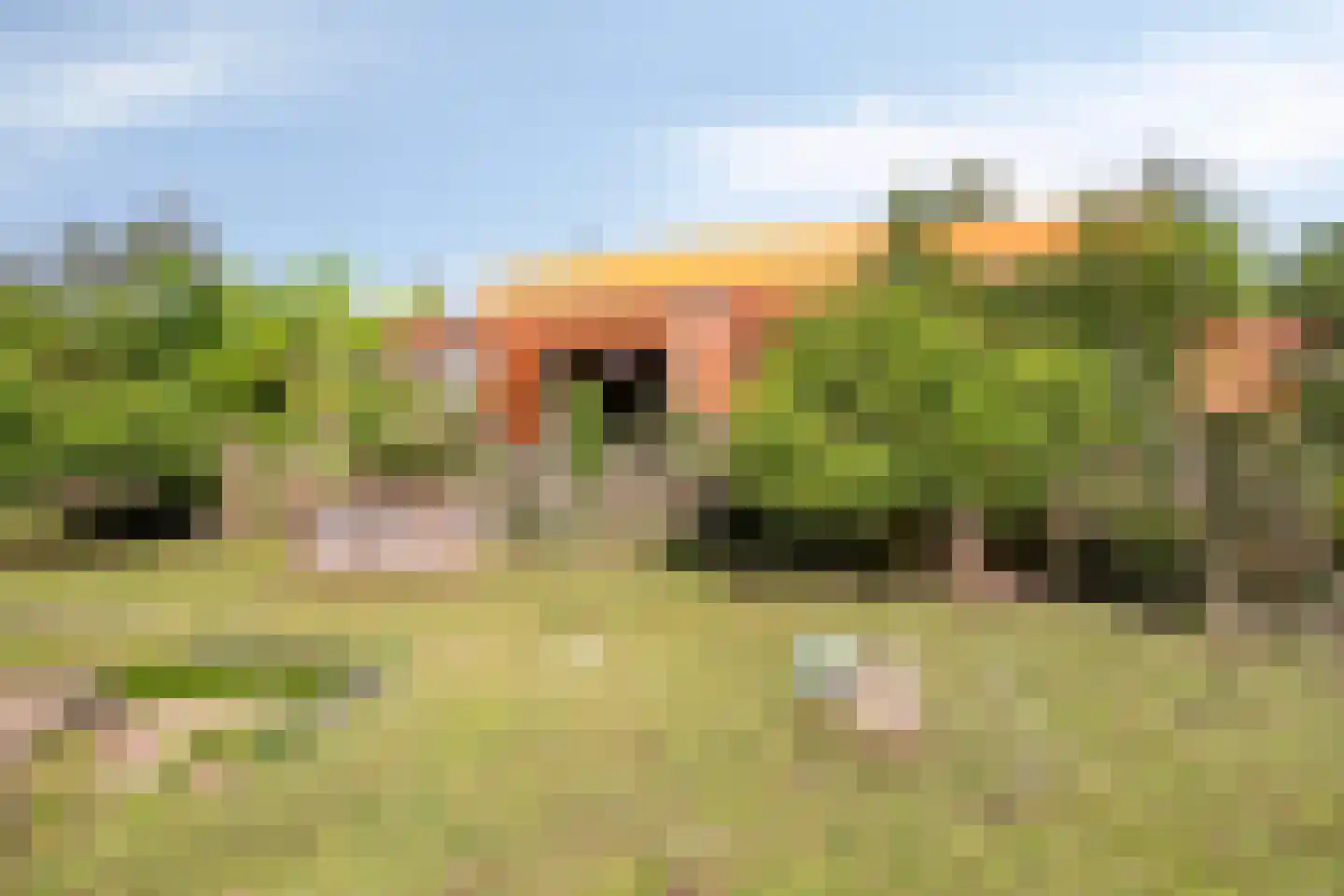 Bostuin 15 Almere thumbnail 21