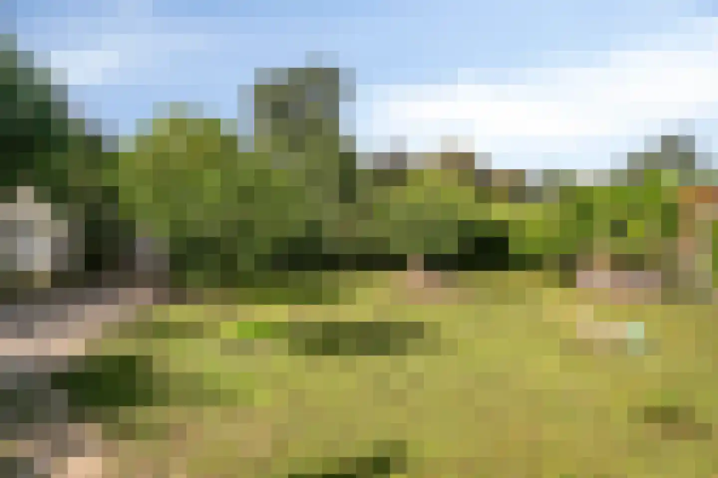 Bostuin 15 Almere thumbnail 22