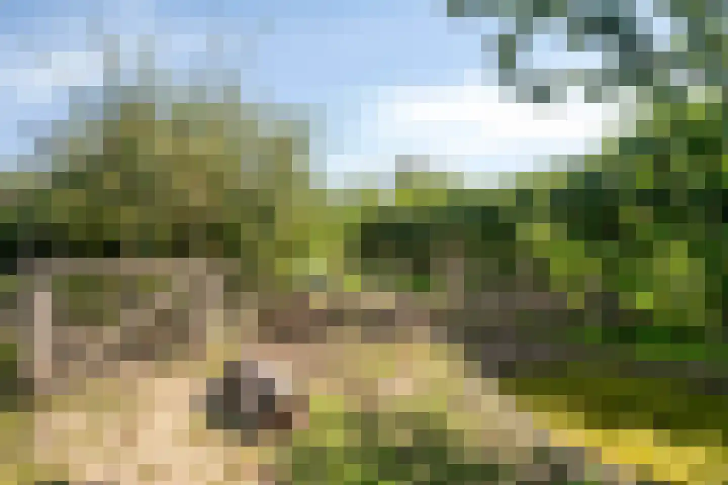 Bostuin 15 Almere thumbnail 23