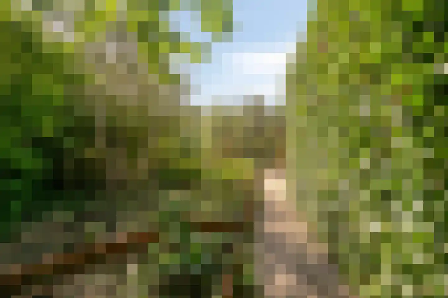 Bostuin 15 Almere thumbnail 24