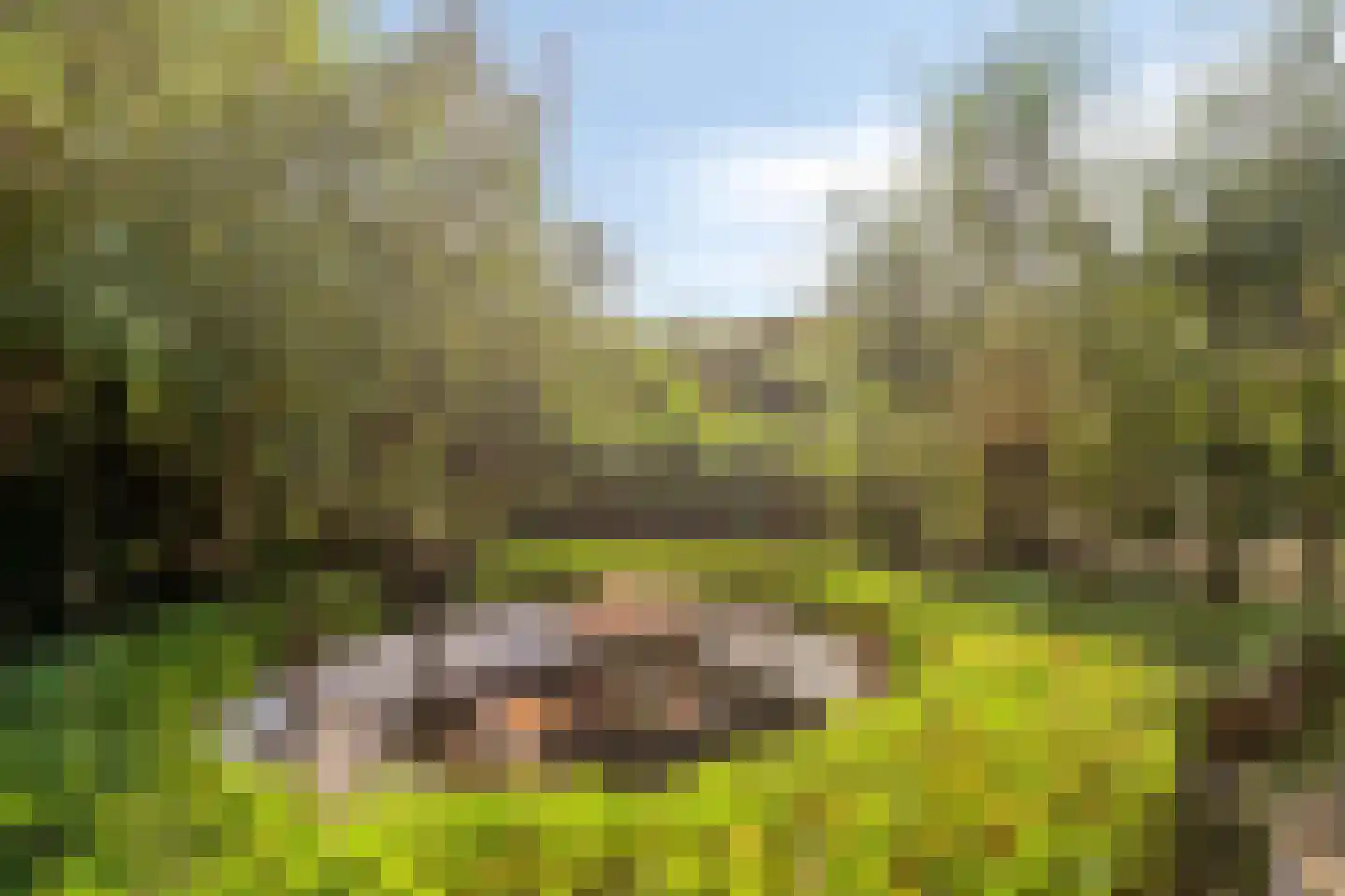 Bostuin 15 Almere thumbnail 25