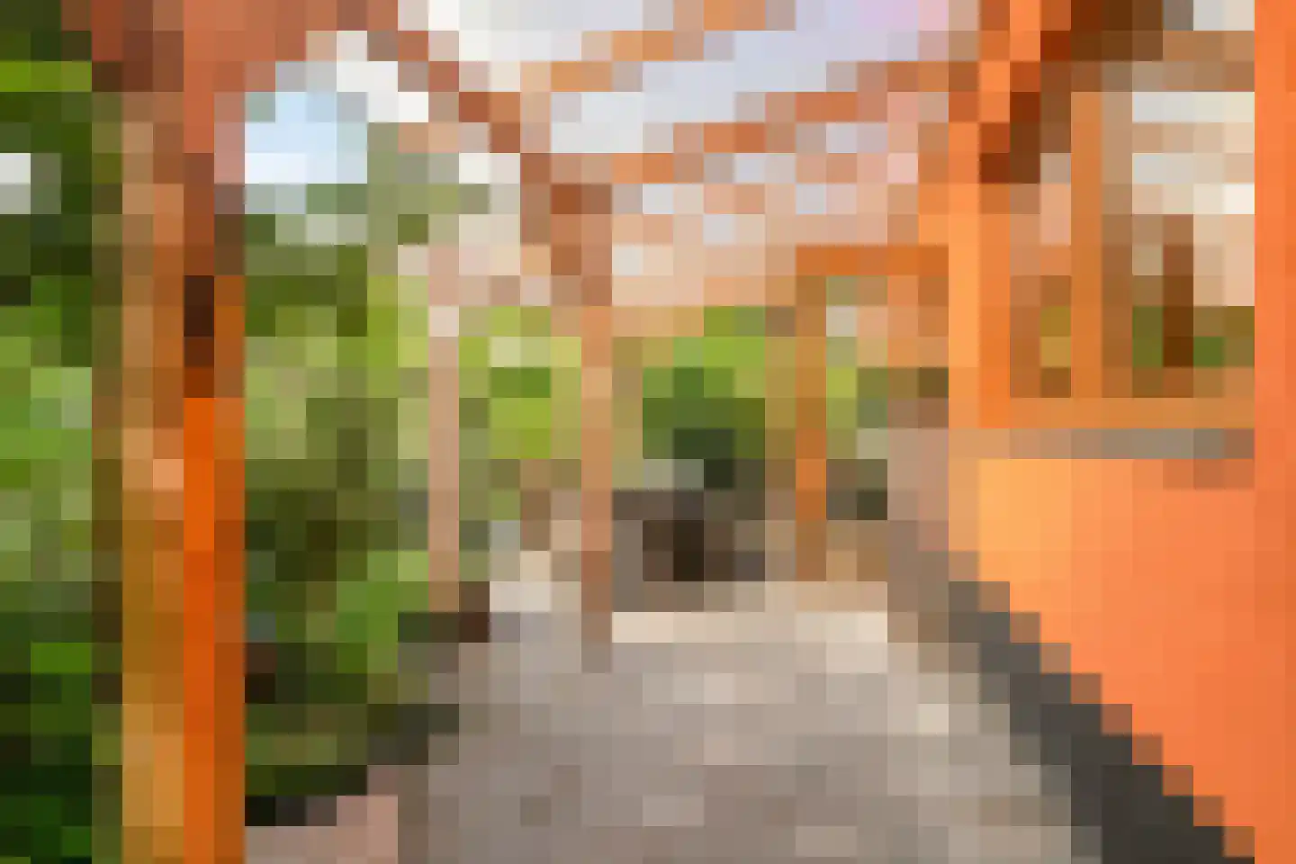 Bostuin 15 Almere thumbnail 26