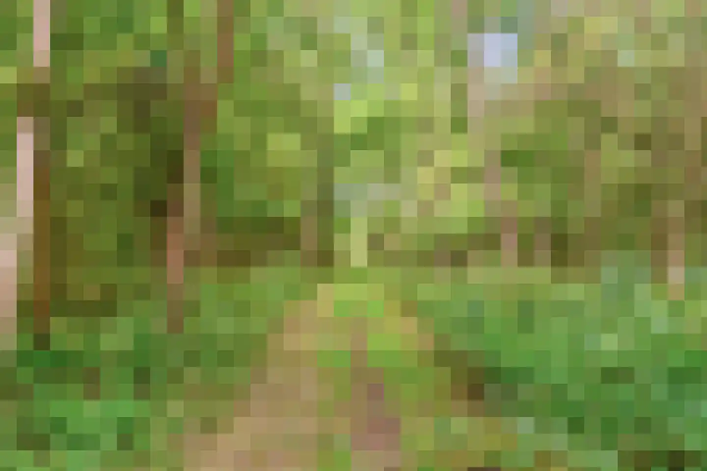 Bostuin 15 Almere thumbnail 28