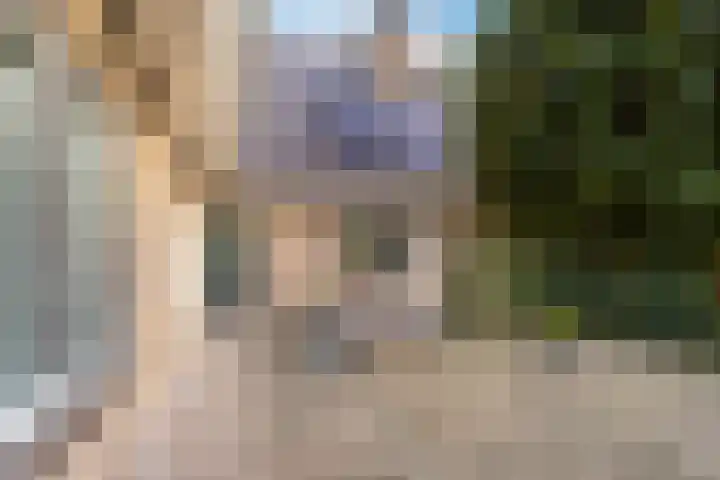 Bostulp 1 Leeuwarden thumbnail 22