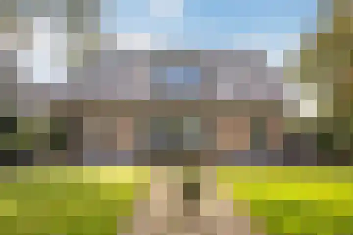 Bostulp 1 Leeuwarden thumbnail 23