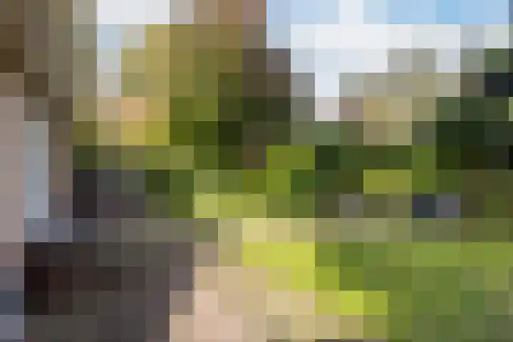 Bostulp 1 Leeuwarden thumbnail 24