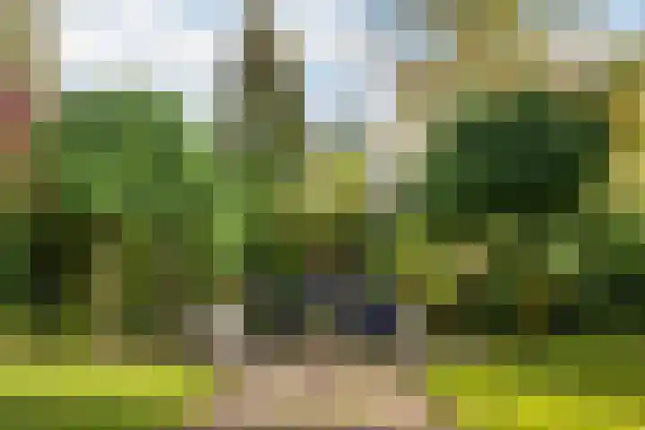 Bostulp 1 Leeuwarden thumbnail 27