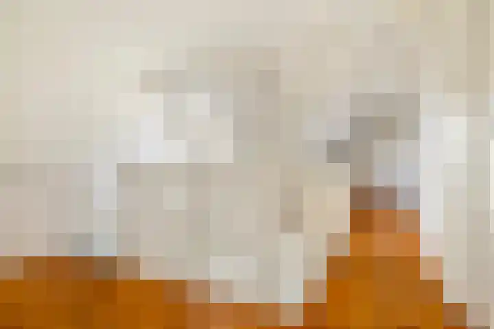 Bostulp 1 Leeuwarden thumbnail 29