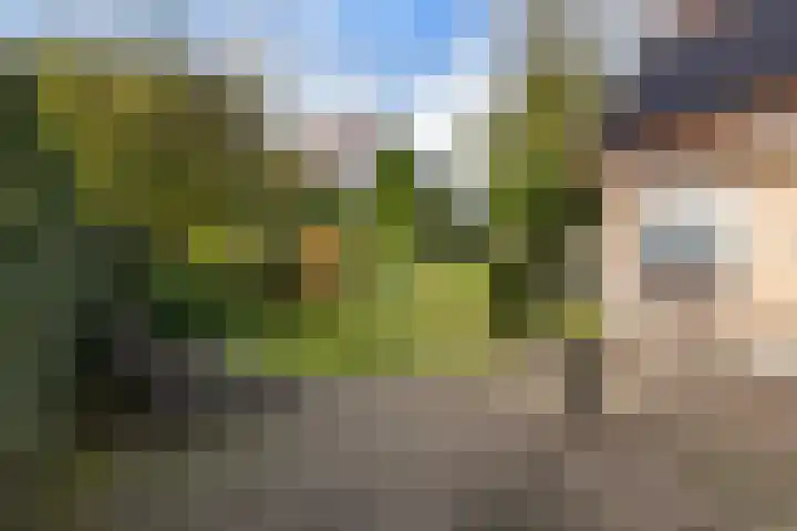 Bostulp 1 Leeuwarden thumbnail 4