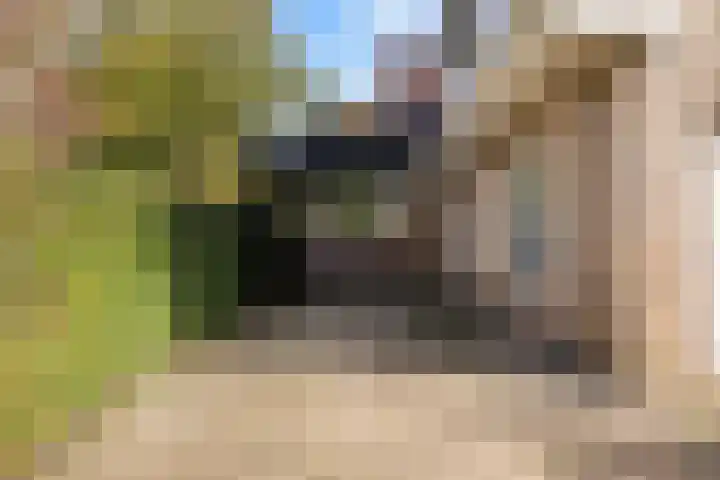 Bostulp 1 Leeuwarden thumbnail 41