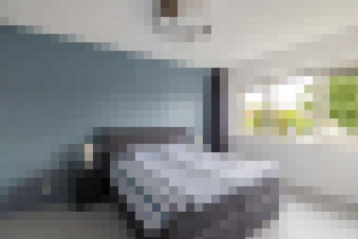 Bostulp 12 Assen thumbnail 11