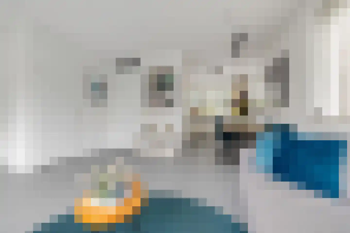 Bostulp 12 Assen thumbnail 26