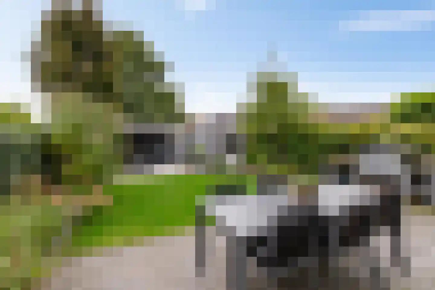Bostulp 12 Assen thumbnail 58