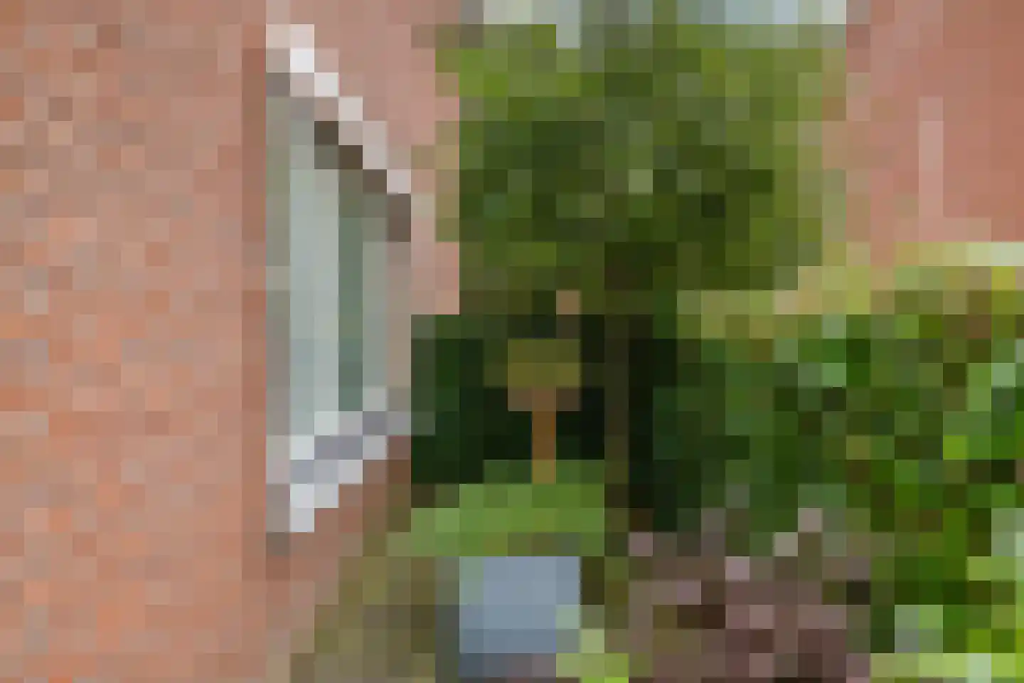 Bostulp 12 Assen thumbnail 60