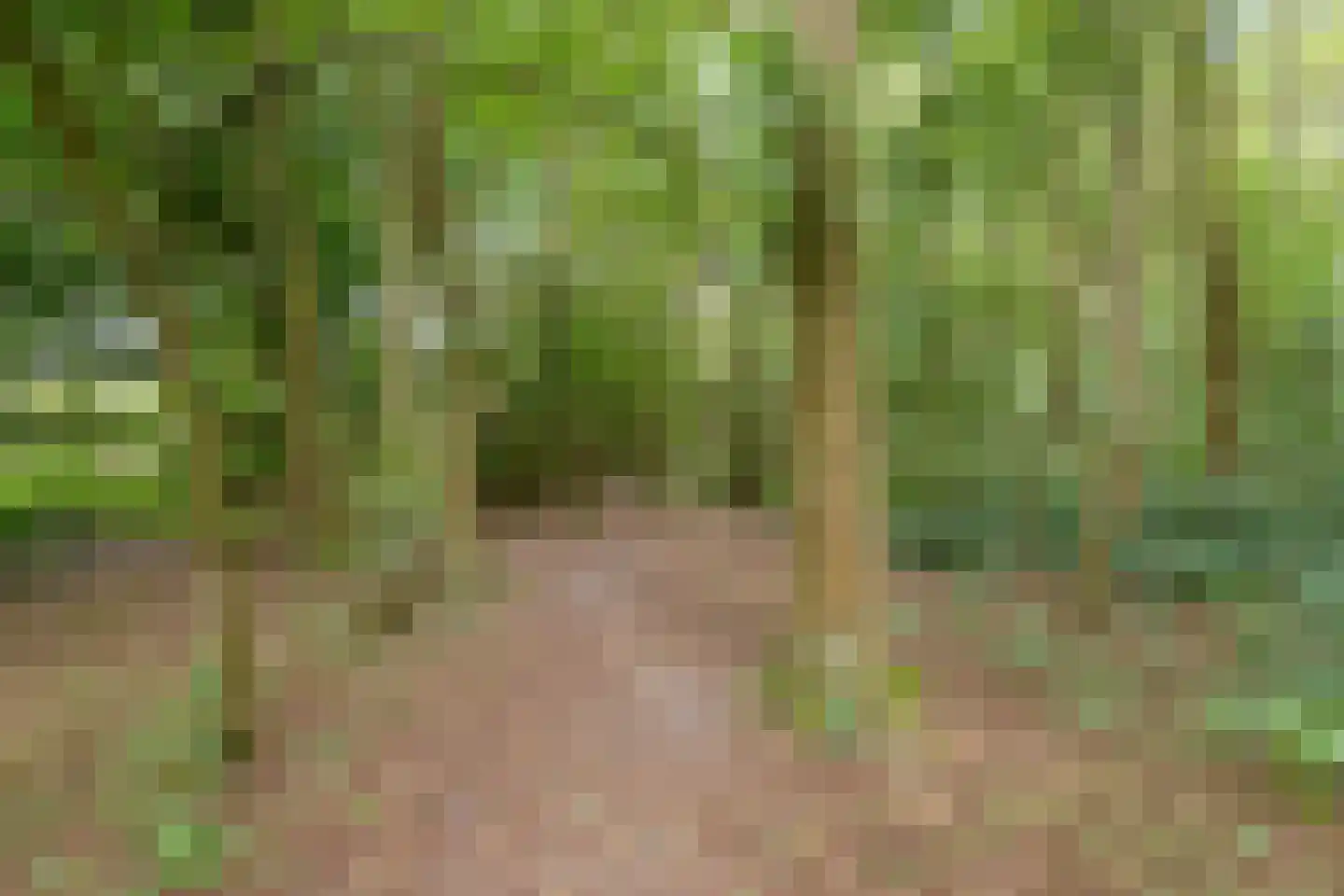 Bostulp 12 Assen thumbnail 66