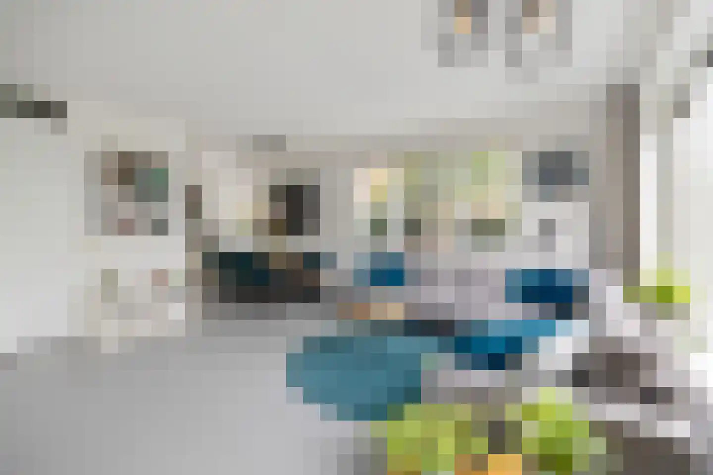 Bostulp 12 Assen thumbnail 7