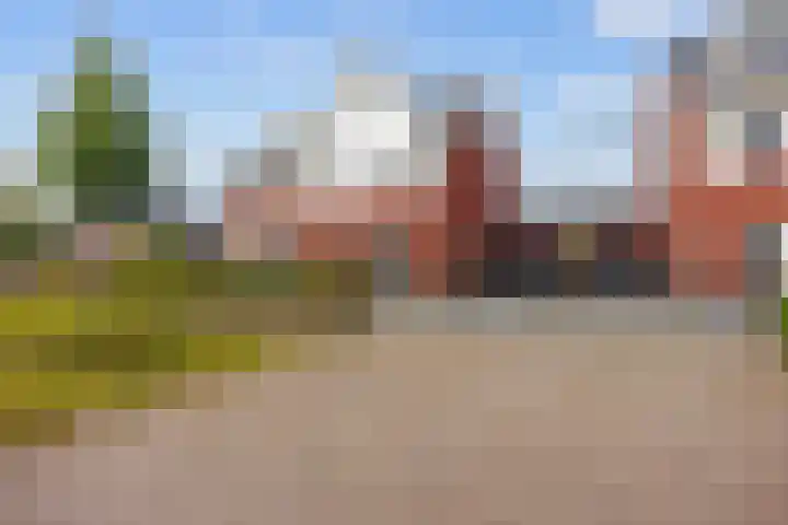 Bostulp 24 Leek
