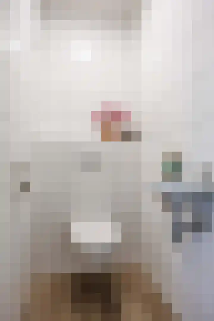Bostulp 24 Leek thumbnail 10