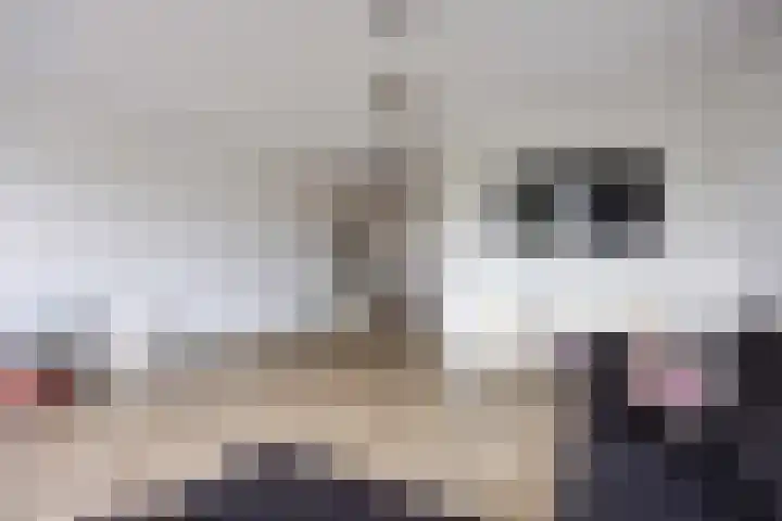 Bostulp 24 Leek thumbnail 14