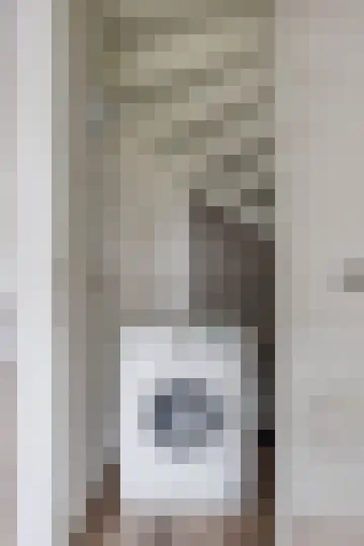 Bostulp 24 Leek thumbnail 22