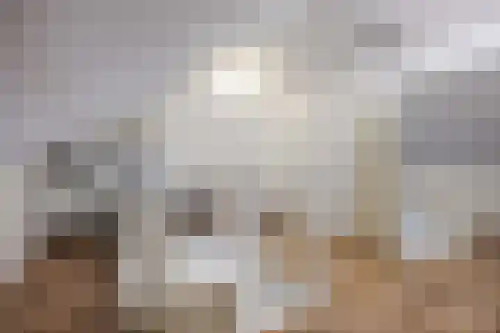 Bostulp 24 Leek thumbnail 36