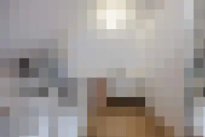 Bostulp 24 Leek thumbnail 37