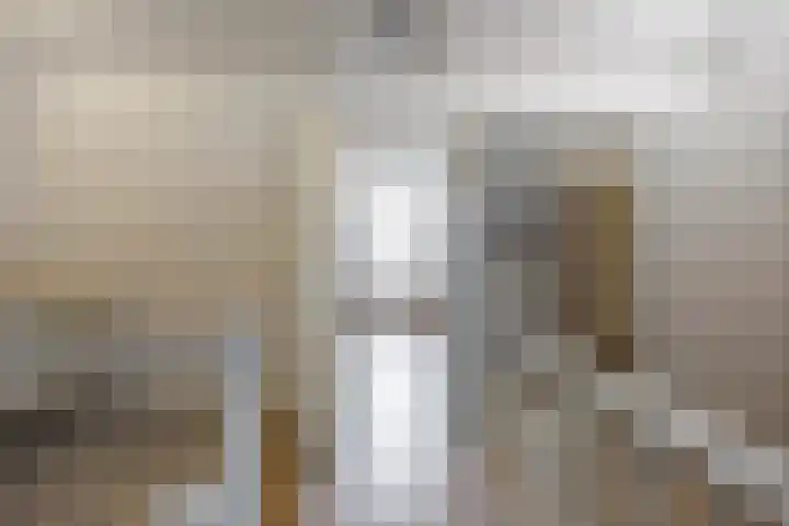 Bostulp 24 Leek thumbnail 38