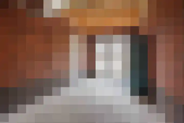 Bostulp 24 Leek thumbnail 41
