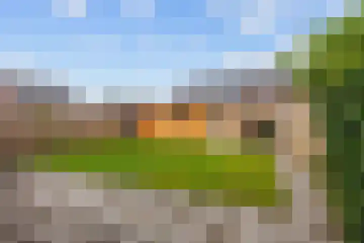 Bostulp 24 Leek thumbnail 42