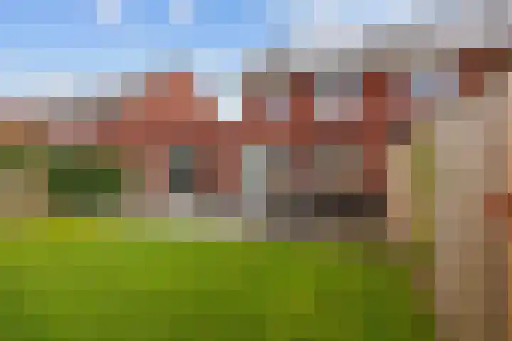 Bostulp 24 Leek thumbnail 45