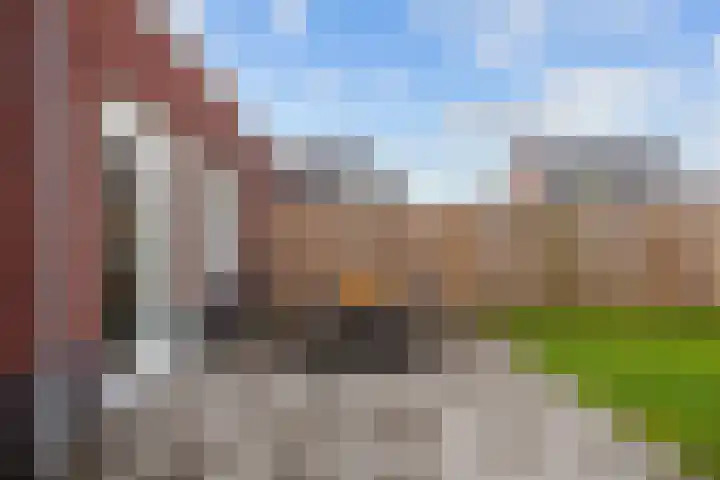 Bostulp 24 Leek thumbnail 46