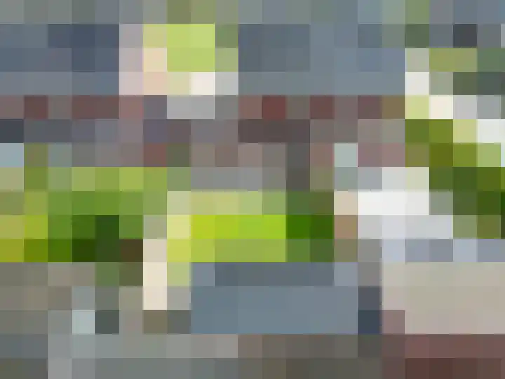Bostulp 24 Leek thumbnail 47
