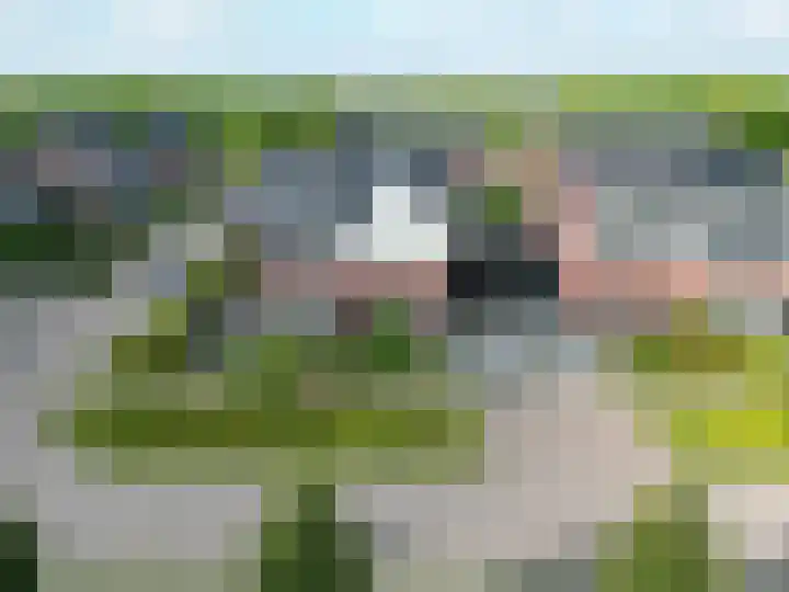 Bostulp 24 Leek thumbnail 48