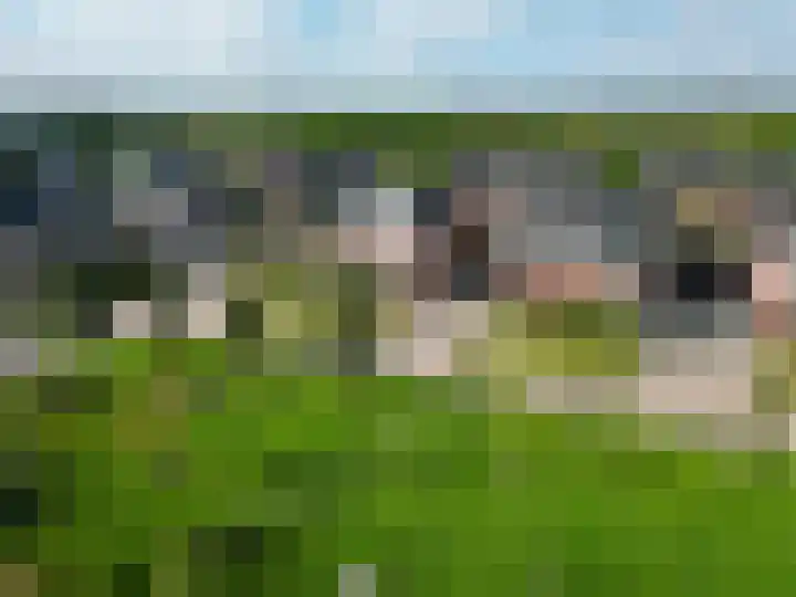 Bostulp 24 Leek thumbnail 49