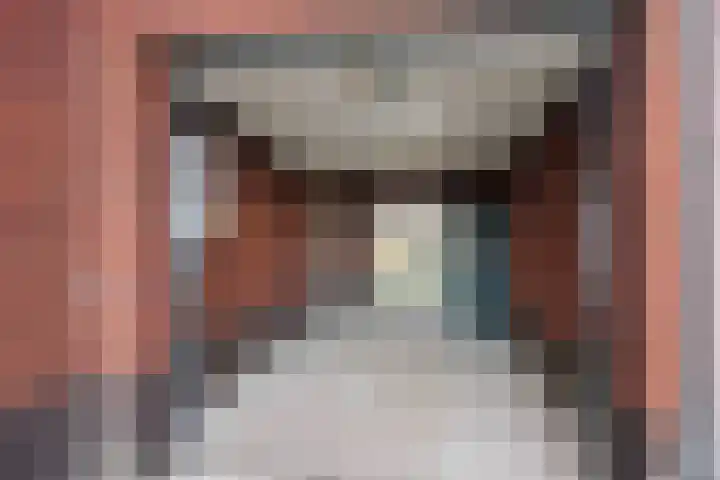 Bostulp 24 Leek thumbnail 5