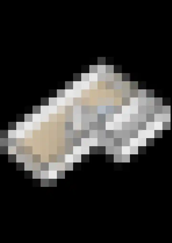 Bostulp 24 Leek thumbnail 56