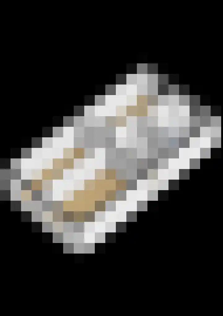 Bostulp 24 Leek thumbnail 57