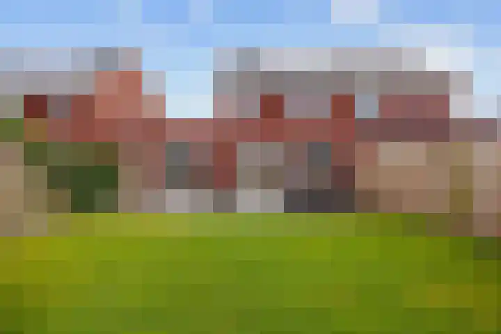 Bostulp 24 Leek thumbnail 6