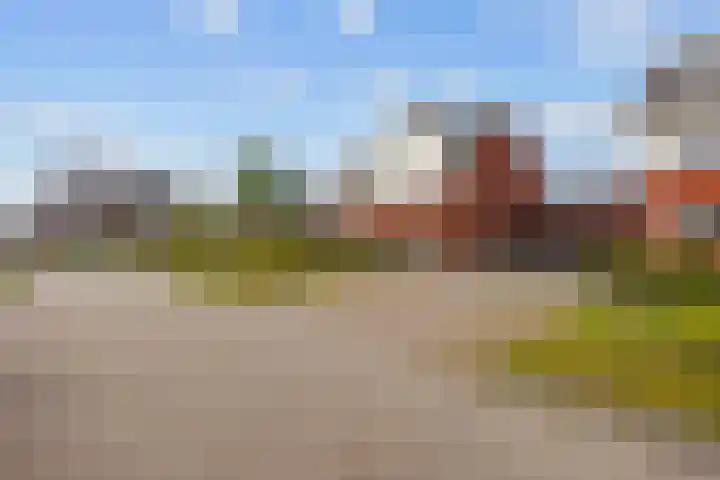 Bostulp 24 Leek thumbnail 8